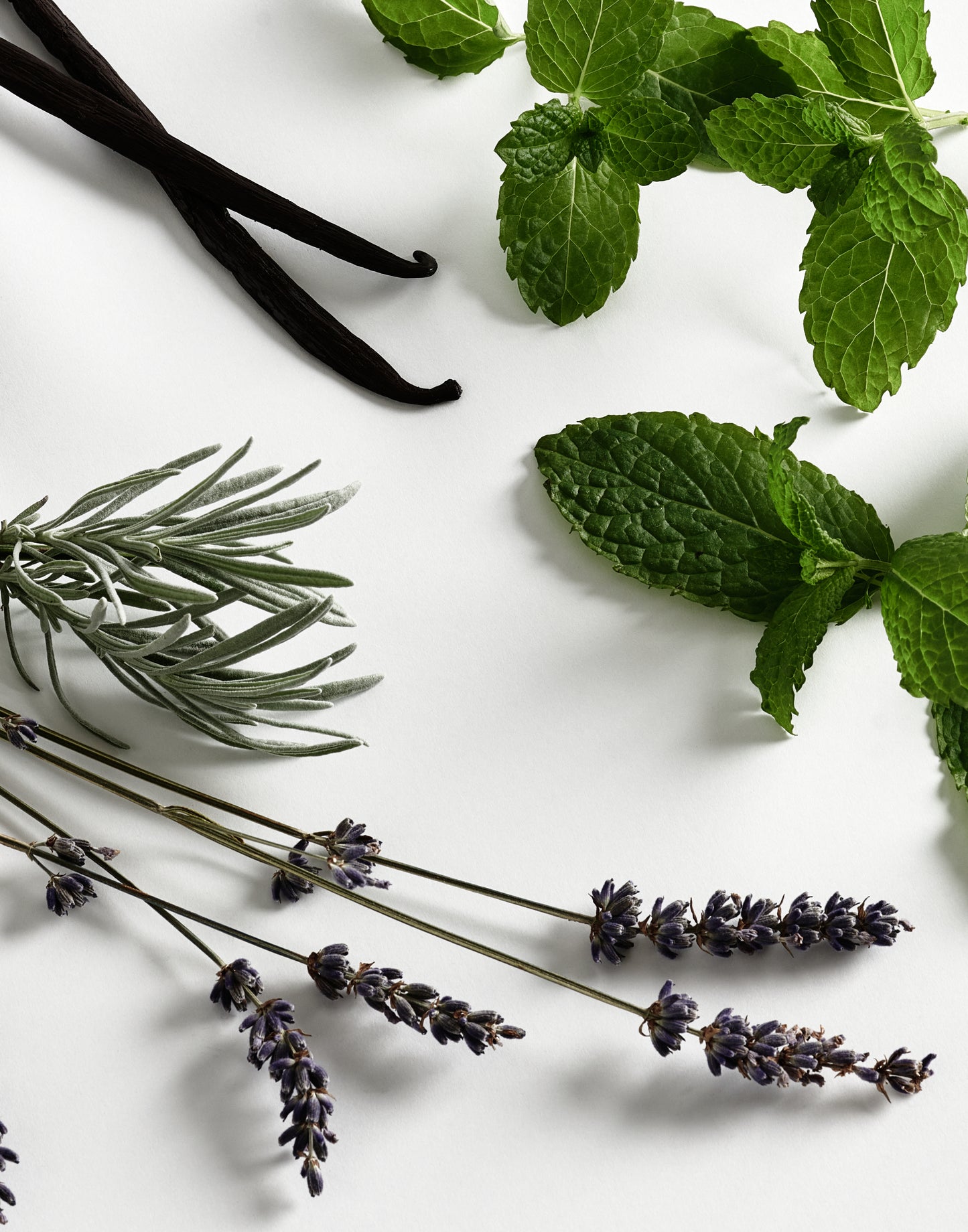 171 Iris & Mint Diffuser 100ml