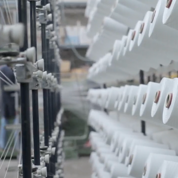 Cotton Yarn
