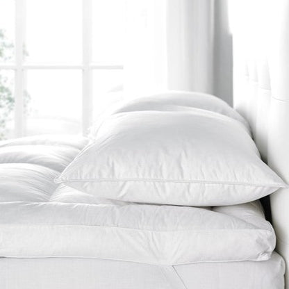 Allerban Hyper Allergenic Luxury Pillow - London and Avalon