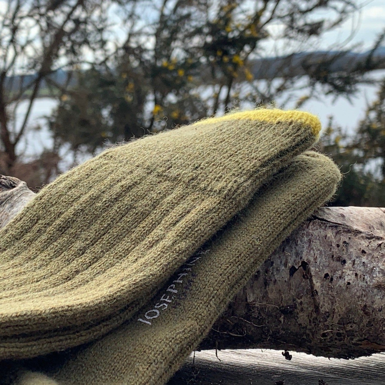 Men's Cashmere Socks – Lovat Green with Gorse Detail - Josephine Home