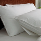 Pillow Protector - Plain Cotton - Josephine Home