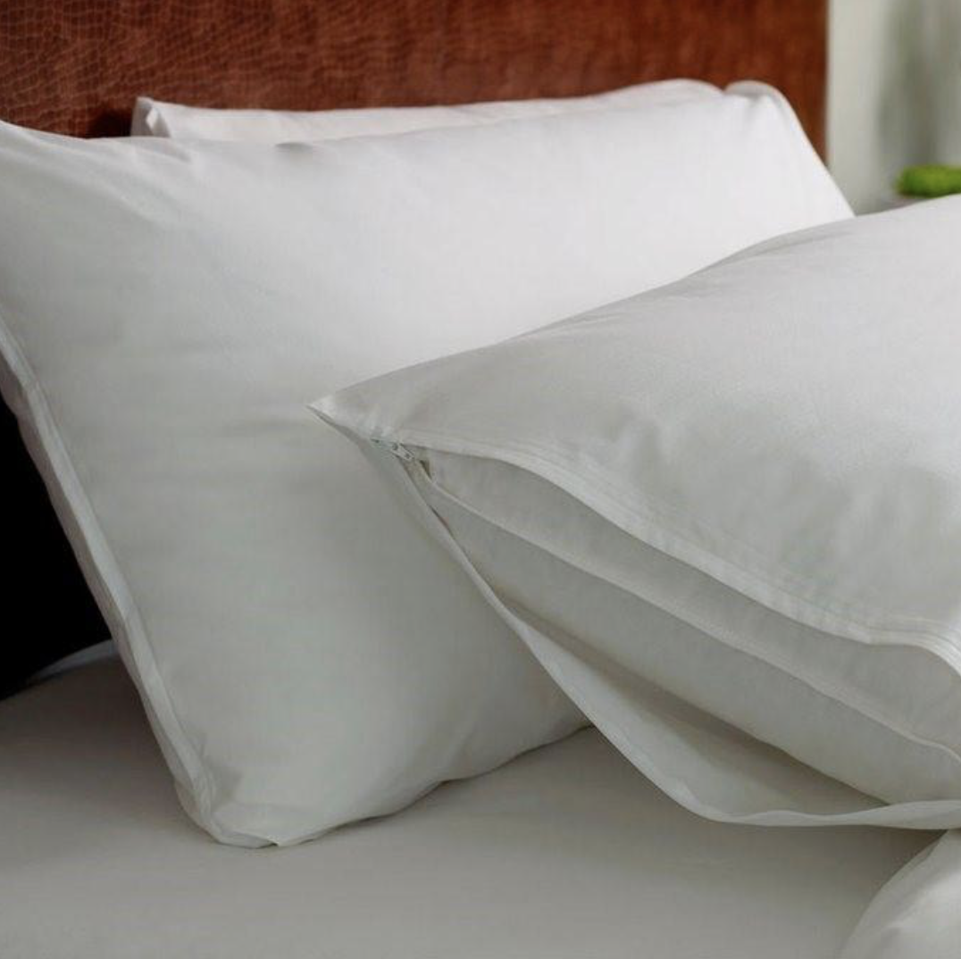 Pillow Protector - Plain Cotton - Josephine Home