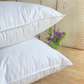 Allerban Hyper Allergenic Pillow - Josephine Home